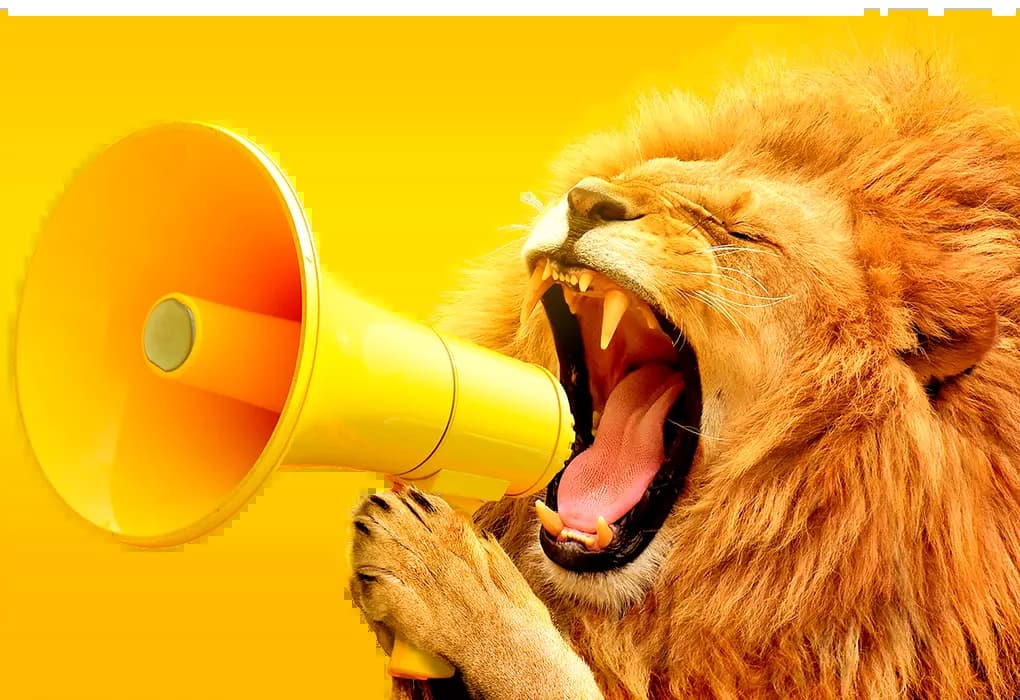 agencia de marketing y desarrollo web Gotta Be Public, la mejor agencia de marketing digital